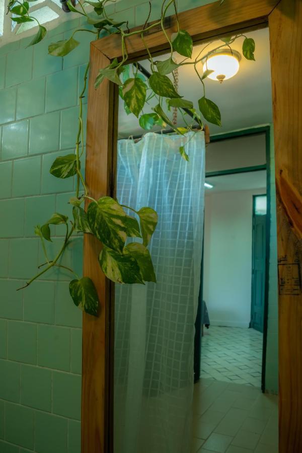 La Casa Del Sombrero Lejlighed Santa Marta  Eksteriør billede